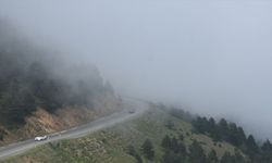 Zigana Dağı'nda sis etkili oldu