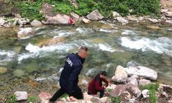 Papağanını kurtardı, kendisi mahsur kaldı