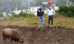 Festival Mesaisi Sürüyor