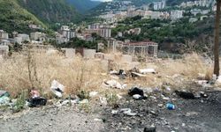 Doğa Cenneti Artvin'e Yakışmayan Manzara