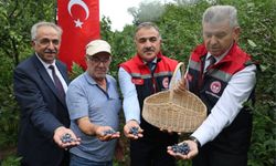 Mavi Yemiş Hasat Programı Gerçekleştirildi