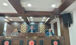 İl Genel Meclisi'nde Meşecik Planına Onay, İki Tahsis Dosyası Komisyona