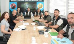 Murgul’da Ormancılık Faaliyetleri Değerlendirildi