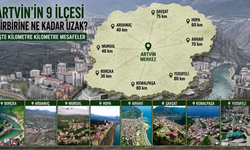 Artvin’in 9 İlçesi Birbirine Ne Kadar Uzak? İşte Kilometre Kilometre Mesafeler