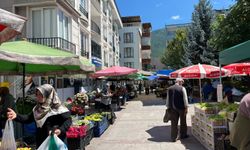 Artvin Pazarında Fiyatlar Alım Gücünü Düşürdü: Artık Gramla Ve Adetle Alınıyor