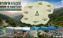 Artvin’in 9 İlçesi Birbirine Ne Kadar Uzak? İşte Kilometre Kilometre Mesafeler