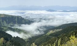 Artvin'de Yüksek Kesimlerde Sis Etkili Oldu