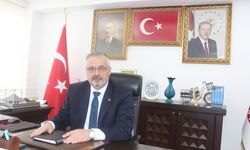 Bafra'da 22. Geleneksel Sünnet Şöleni düzenlenecek
