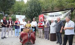 'Fındık Hasadı Şenliği' düzenlendi
