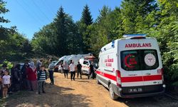 Giresun Valiliğinden hava aracı düştüğü ihbarına ilişkin açıklama: