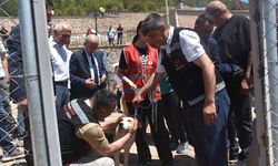 Gümüşhane'de sahipsiz hayvanlar için doğal yaşam alanı açıldı