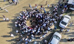 Kastamonu'da at yarışında çarpışan iki at telef oldu