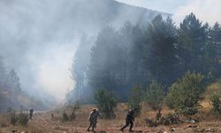 Kastamonu'da çıkan orman yangını kontrol altına alındı