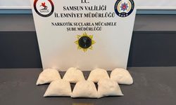 Samsun'da tırda yapılan aramada 7 kilogram sentetik uyuşturucu ele geçirildi