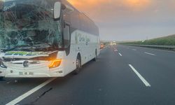 Şanlıurfa'da yolcu otobüsünün tıra çarptığı kazada 2 kişi yaralandı