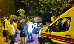 Sinop'ta ağaca çarpan otomobildeki 2 kişi yaralandı