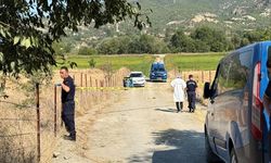 Sinop'ta köy muhtarı tabancayla vurulmuş halde ölü bulundu