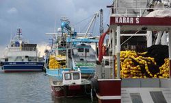 Balıkçıların deniz mesaisi başlıyor