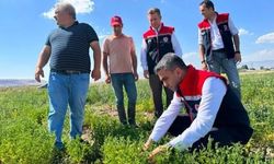 Erzurum'da tarımsal destekler meyvesini veriyor