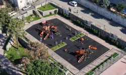 Parklarda ücretsiz internet hizmeti