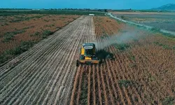Çiftçilere yılın ilk 6 ayında 106 milyar lira tarımsal destek ödemesi yapıldı