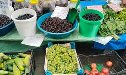 Artvin Halk Pazarında Yerli Ürün Bereketi