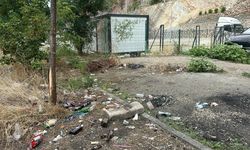 Artvin’e Girişte Utandıran Manzara: Çoruh Park Çöplüğe Döndü
