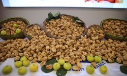 Sezonun ilk kuru inciri kilogramı 850 liradan satıldı