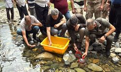Rize'de derelere 25 bin kırmızı benekli alabalık salındı