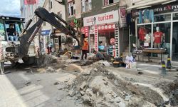 Artvin’de Doğalgaz Çalışmaları Devam Ediyor