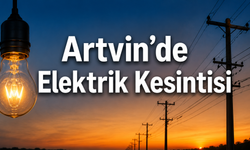 Borçka ve Şavşat’ta Bazı Köyler Etkilenecek