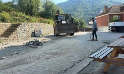 Borçka Belediyesi Ekipleri Sahada: İlçede Çalışmalar Sürüyor
