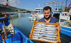Balık avı sezonu bereketli başladı