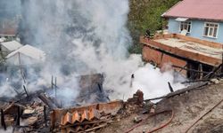 Kastamonu'da çıkan yangında ev ve ahır kullanılamaz hale geldi