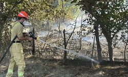 Kastamonu'da ormanlık alana sıçrayan yangın söndürüldü