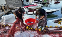 Kastamonulu balıkçıların yüzü palamutla güldü