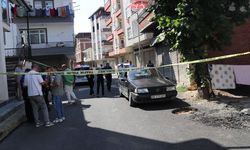 Ordu'da park halindeki otomobilde bir kişi ölü bulundu