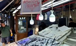 'Askıda palamut' uygulaması başlatıldı