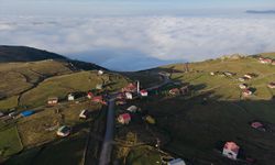 Trabzon'un 'bulutlara komşu' yaylaları sonbahar renklerine bürünüyor