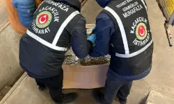 Gümrük muhafaza ekipleri kaçakçılara göz açtırmadı