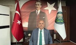 Borçka’da Fındıkta Alım Zamanı