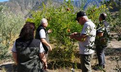 Artvin’de Orman Yatırımları İncelendi