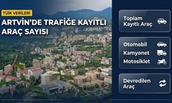 Artvin’de Trafiğe Kayıtlı Kaç Araç Var?