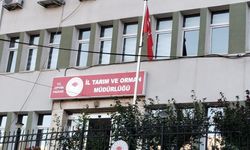 Büyükbaş Hayvancılığa Destekler Artırıldı