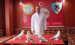 Emekli astsubay, 40 güvercini için ev kiraladı: Aylık 10 bin TL harcıyor