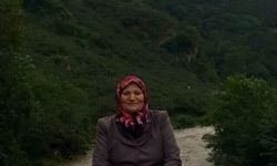 Giresun'da bahçede düşen kişi hayatını kaybetti