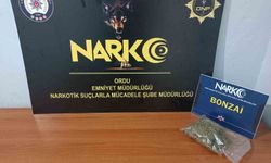 Ordu'da uyuşturucu operasyonunda 1 tutuklama