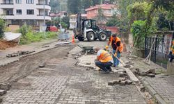 Hopa’da Kent Genelinde Çalışmalar Sürüyor