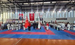 375 Sporcu Tatamiye Çıktı