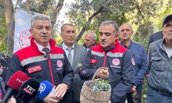 Butko Zeytin Hasadı Başladı